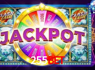 Interface Premium 255bet